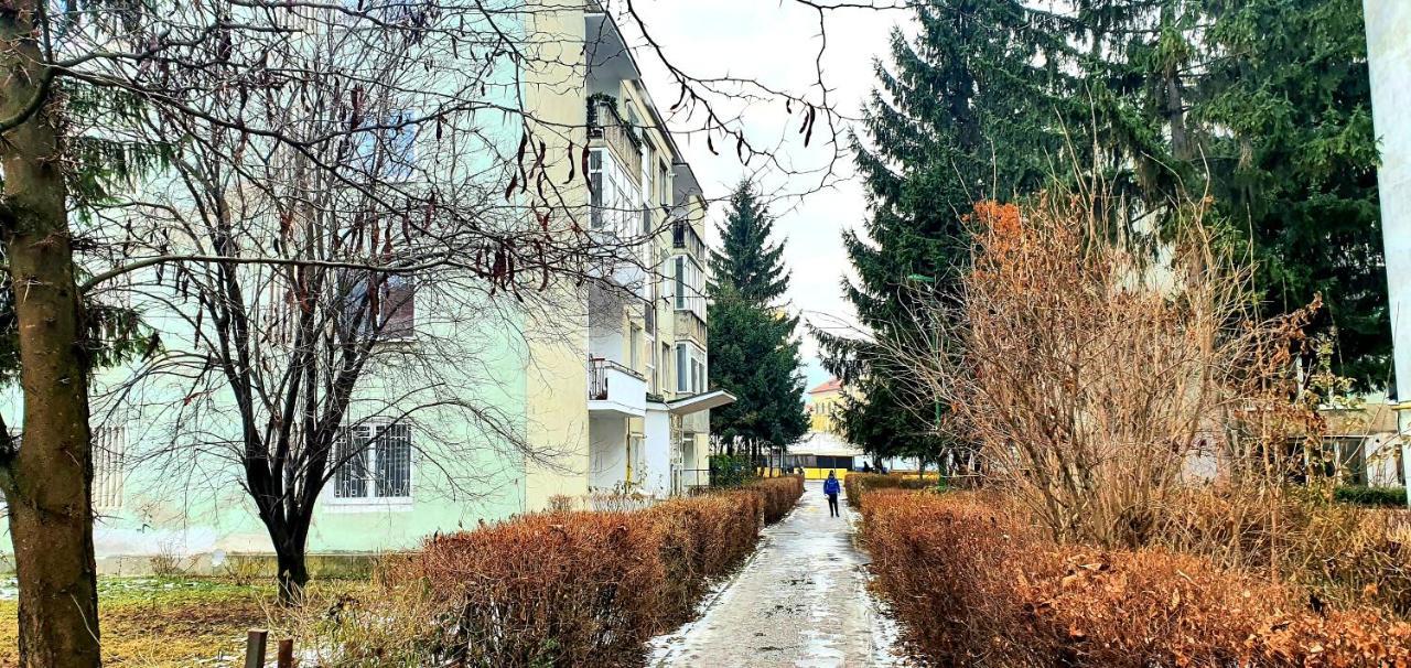 5 Min To Everything-Stylish-Modern-Old City Center Braşov Esterno foto